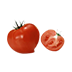 番茄花园 WindowsXP SP3 U盘优化版 V2022.03