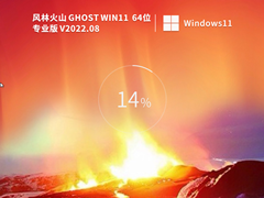 风林火山 Ghost Win11 64位 专业装机版 (办公版) V2022.08