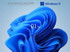Windows11 22H2 专业工作站版轻精简