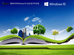 雨林木风 Windows10 64位 官方专业版 V2023