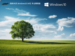 【适度精简】雨林木风 Windows10 64位 专业精简版
