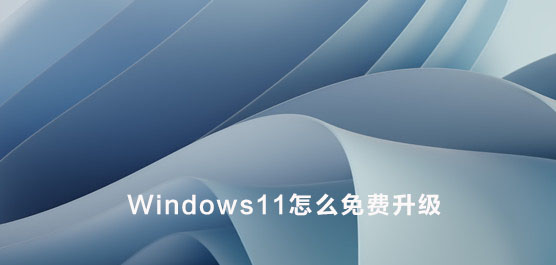 Windows11怎么免费升级？Win10免费升级Win11教程