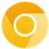 谷歌浏览器(Google Chrome) V122.0.6176.0 Canary版