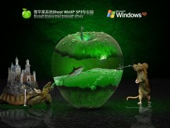 【适当精简】青苹果系统 Ghost WinXP SP3 流畅精简版