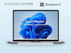 Windows11 22H2 64位 中文精简版