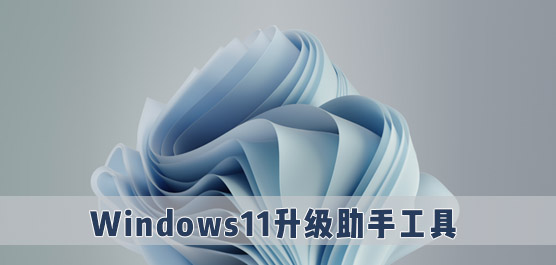 Win11升级助手_Win11升级工具_Windows11升级检测软件