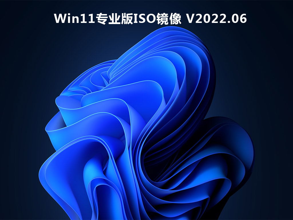 Win11专业版ISO镜像 V2022.06