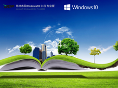 雨林木风 Windows10 64位 专业装机版 V2023