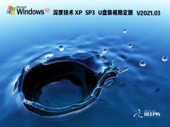深度技术Windows XP SP3 U盘装机稳定版 V2021.03