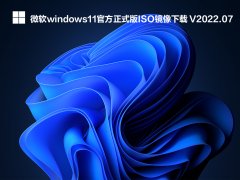 微软windows11官方正式版ISO镜像下载 V2022.07