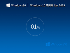 Windows10 Ltsc2019精简版(长期服务版)  V2023