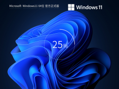 Windows11最新版22H2镜像 V2024