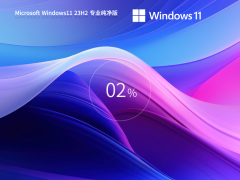 Windows11 64位中文专业纯净版