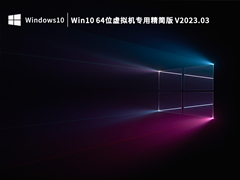 Win10 64位虚拟机专用精简版 V2023.03