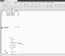 Excel如何导出一个工作表？WPS表格怎么导出来单个工作表？