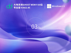 大地系统 Ghost Win11 64位 官方正式版 V2022.05