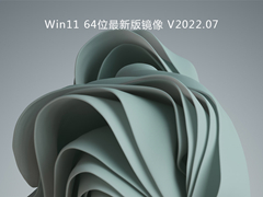 Win11 64位最新版镜像 V2022.07