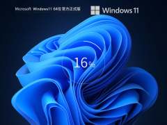 Windows11 官方中文版 V2024