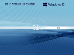 惠普笔记本 Windows10 64位 专业版