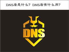 DNS盾是什么？DNS盾有什么用？