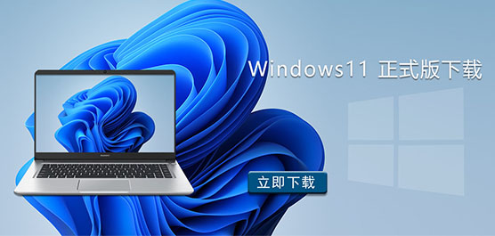 Windows11 正式版下载-Windows11 最新正式版镜像下载
