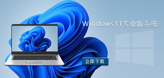 Win11专业版下载_Windows11专业版系统_Windows11专业版镜像下载