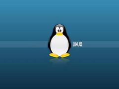 加强Linux系统安全的几大技巧