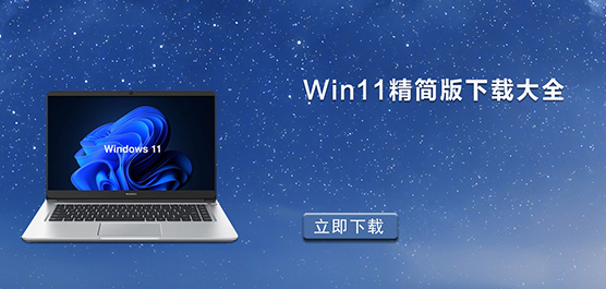 Win11精简中文版_Win11精简版iso_W