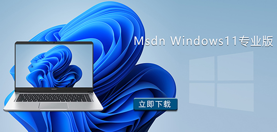 Msdn Windows11专业版下载