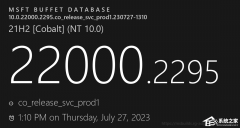 微软发布Win11 21H2 KB5029253（22000.2295）八月累积更新补丁！附更新日志